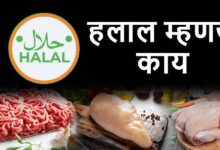 halal mhanaje kay marathi